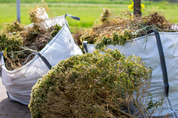 Best Yard Waste Removal  in Hemphill, TX